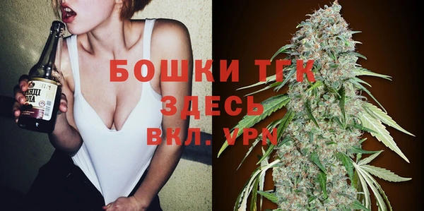 ECSTASY Богородск